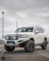 Offroad Animal Predator Bull Bar - Toyota LandCruiser 300 Series 2021+