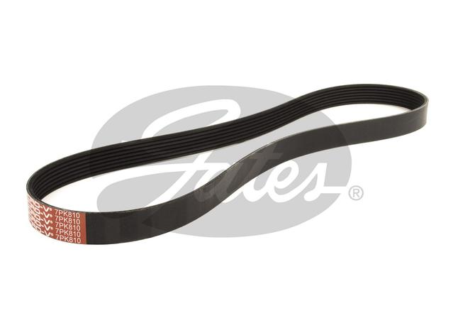 Gates Micro-V Belt 7PK810