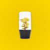 10cm Yellow Hana Gear Knob