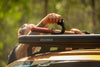 Yakima RuggedLine Wildtrak Gen 2 / Amarok Rails Gen 2 DC