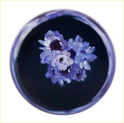 A 15cm purple blue hana gear knob featuring a circular glass dish with delicate purple and white flowers floating in dark liquid