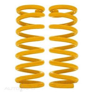 Tough Dog Coil Spring - Rear Standard - TDC1023