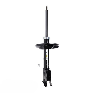 Roadsafe Sealed Strut - R600076