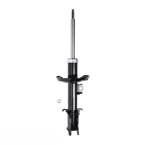 Roadsafe Sealed Strut LH Front - R600089