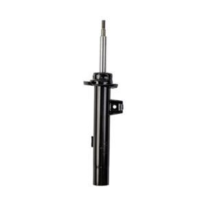 Roadsafe STR Sealed Strut - R600271