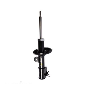 Roadsafe STR Sealed Strut - R600243
