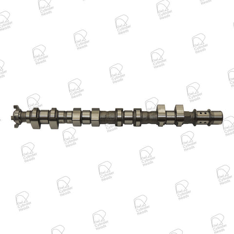 Kiwi Camshaft Exhaust 50090504