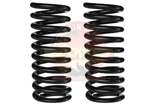 Terrain Tamer Coils Rear Raised 20mm To 100kg Standard - Terrain Tamer 4WD Parts