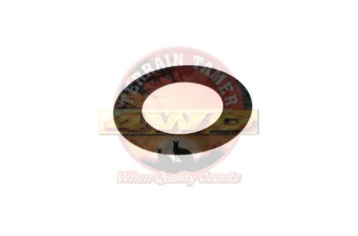 Terrain Tamer Shim Side Gear Thrust T=0.25 - Terrain Tamer 4WD Parts