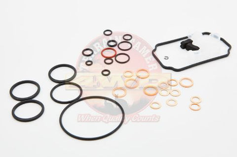 Terrain Tamer Injector Pump Seal Repair Kit - Terrain Tamer 4WD Parts