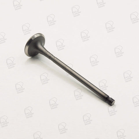 Kiwi Exhaust Valve 52040525