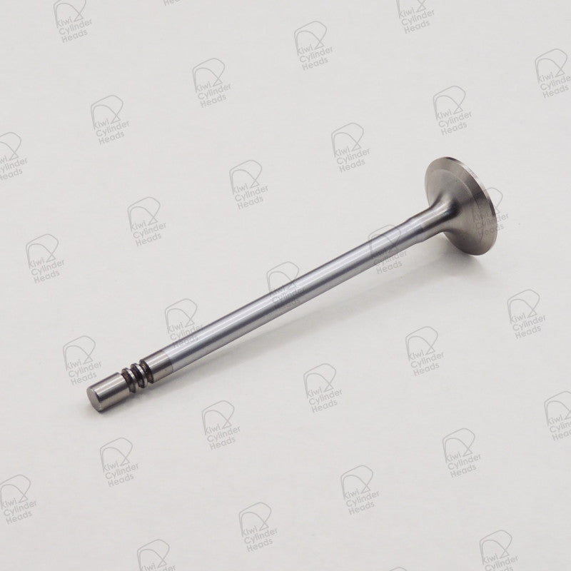 Kiwi Inlet Valve 53060439