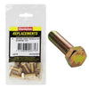 Champion Hex Screw Set HT M10 x 25mm 8Pk C431-14