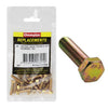 Champion Hex Screw Set HT M6 x 25mm 20Pk C480-7
