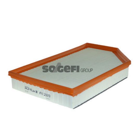 Purflux Air Filter A1289