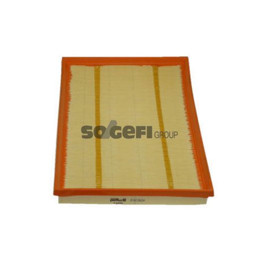 Purflux Air Filter A1489
