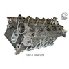 Kiwi Bare Cylinder Head 10021272