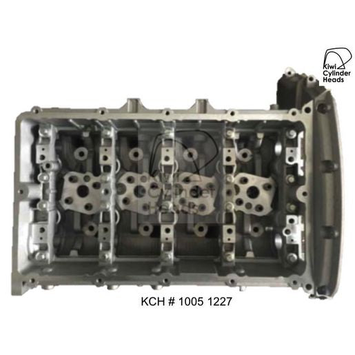 Kiwi Bare Cylinder Head 10051227