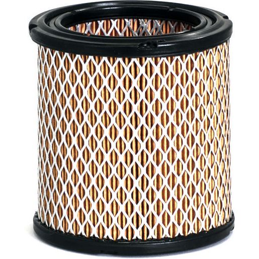 Donaldson Air Filter P606278