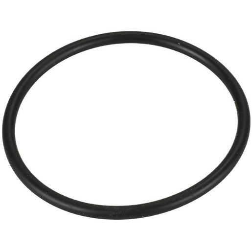 Donaldson O Ring P160016