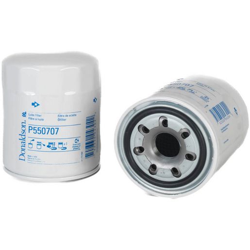 Donaldson Rain Cap 3 P270536