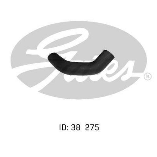 Gates Radiator Hose 05-0255