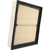 Ryco Air Filter