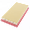 Proselect Air Filter PSA198