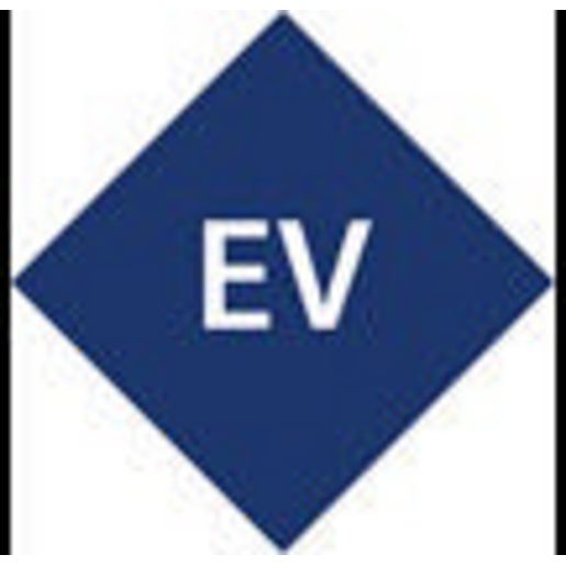 Electric Vehicle Tag fits Number Plate/Registration Pair