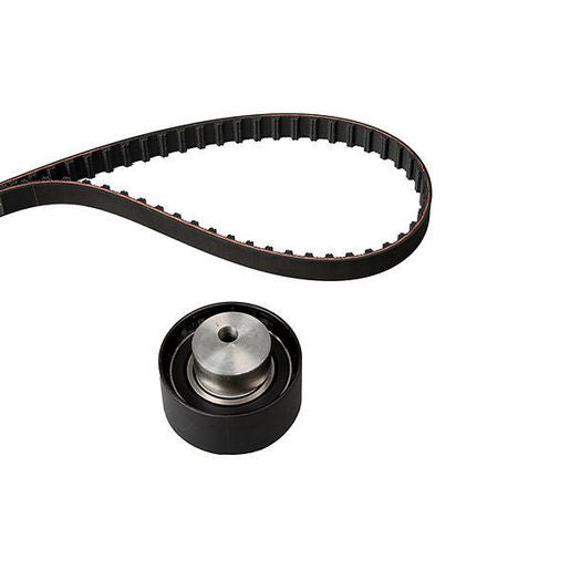 INA Timing Belt Kit 530 0228 10