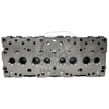 Kiwi Cylinder Head - Isuzu C240 10031137