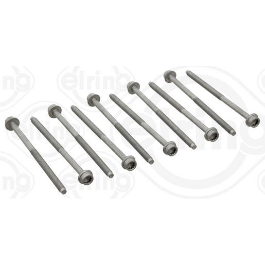 Elring Cylinder Head Bolts 725.31