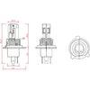 OEX 12/24V LED H4 4000Lm 6000K Globe Headlight