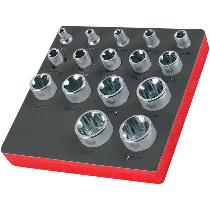 Endeavour 16 Piece 1/4, 3/8 & 1/2 inch Female Torx Plus