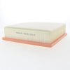 Proselect Air Filter PSA636