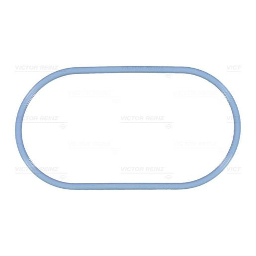 Kiwi Manifold Plenum Gasket - Ford 25118102VR