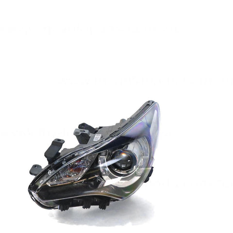 APG All Crash Halogen Head Lamp Passenger Side OEM suits
