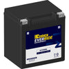 Century Everride Battery GYZ32HL