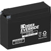 Century Everride Battery YT4B-BS
