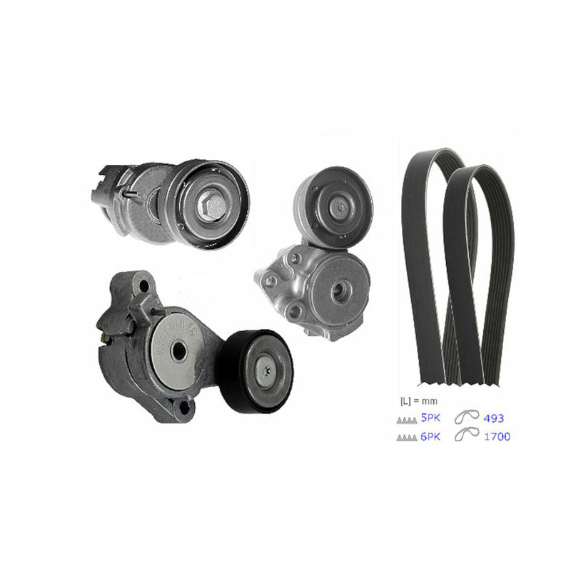 INA V-Ribbed Belt Set 529 0501 10