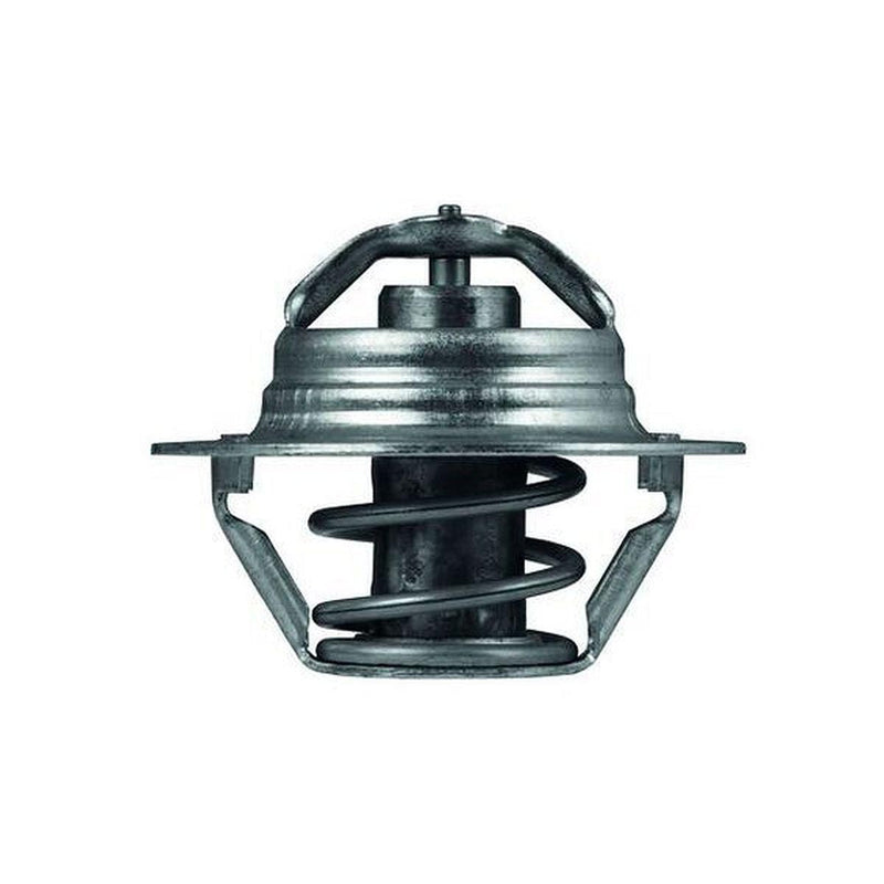 Mahle Thermostat TX 100 89D