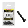 Champion Black Screw Self Tapp Panhead Phillips 4.2 x