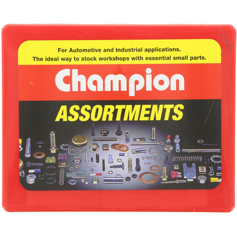Champion Screw Self Tapp Black Pan/Raised Head Phillips