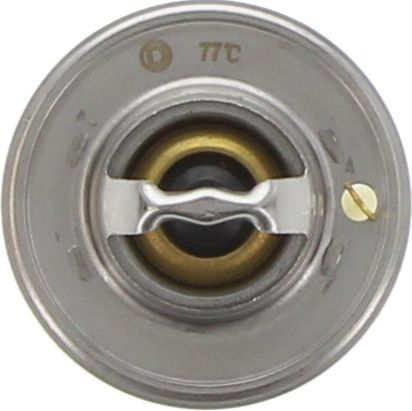 Dayco Thermostat DT14E-BP