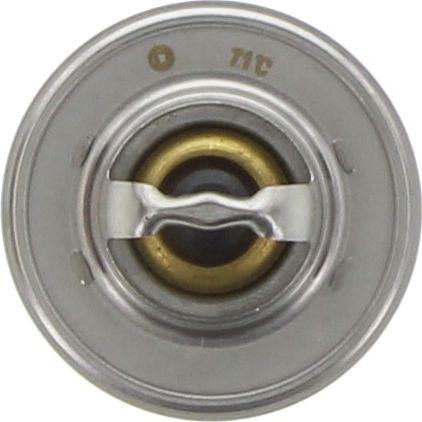 Dayco Thermostat DT13C-BP