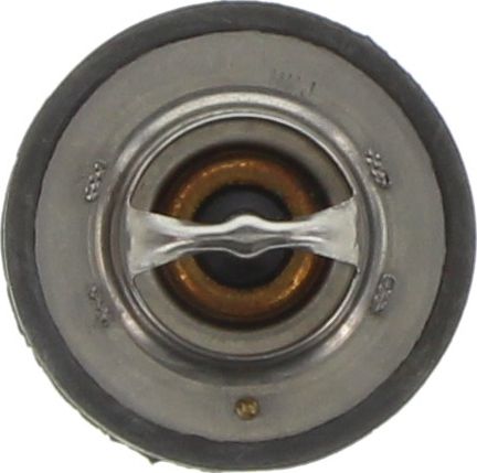 Dayco Thermostat DT25B-BP