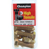 Champion Fasteners Hex Set Screw & Nut High Tensile 3/8In