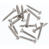 Champion Fasteners Nickel Screws Tap 4.2 X 25mm BH147