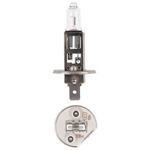 Narva H1 P14.5S Globe 24V 100W 48750