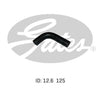 Gates Radiator Hose 02-0543